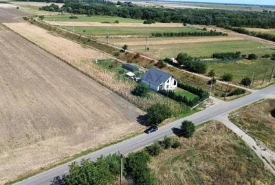 Teren agricol intravilan de 10000 mp, în Vânători - 2