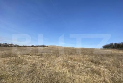 Teren extravilan in suprafata de 140551 mp in loc. Recea - 6