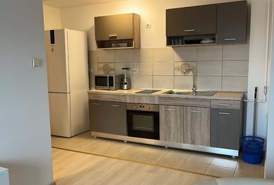 Apartament cu 2 camere semidecomandat, mobilat în Dumbrăvița - 2