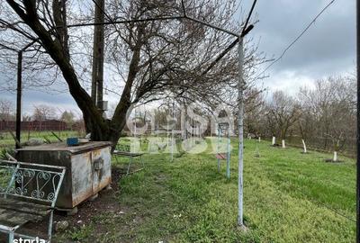 Casă cu 1 camere cu Teren 5000 Mp în Mogoșani - 10