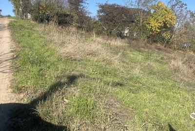 Teren de 1000 mp, în Central - 1