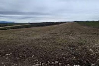 2 hectare de teren agricol situate in comuna Studina din judetul Olt