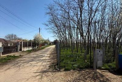 Teren de 800 mp, în Gruiu - 2