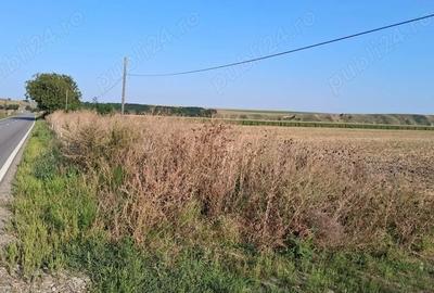Teren de 28500 mp, în Central - 3