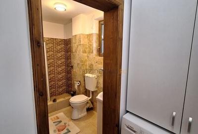 Vila individuala P+1E, luminoasa, constructie 2017, Comuna Berceni - 6