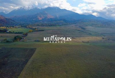 Teren Construcții intravilan de 1400 mp, în Glăjărie - 3