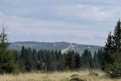 Teren de 2300 mp, în Beliș - 1