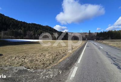 Teren de 19200 mp, în Brădet - 5