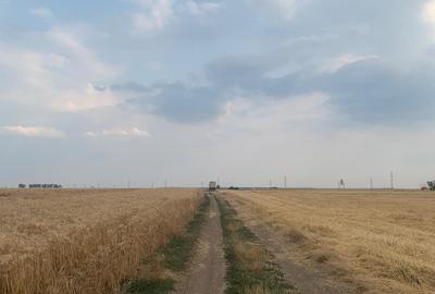 Teren Construcții intravilan de 30000 mp, în Ștefăneștii de Jos - 4