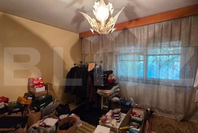 Apartament 4 camere, decomandat, 90 mp, parter, George Enescu - 8