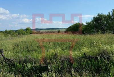 Teren agricol extravilan de 525 mp, în Iris - 3