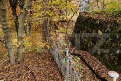 Teren de 1200 mp, în Mănăștur - 3