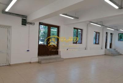 Spatiu comercial Valea Adanca - 8