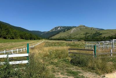 Teren pentru sala de evenimente, 9000mp, fundatie turnata, Rimetea - 8