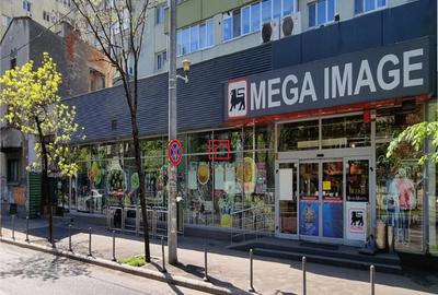 Spatiu comercial Titulescu - Banu Manta, Bucuresti - 3