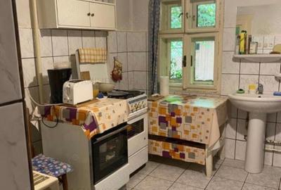 Casa 3 camere cu 2 fronturi plus 860 mp Lipovei-Aradului 178000 euro - 14