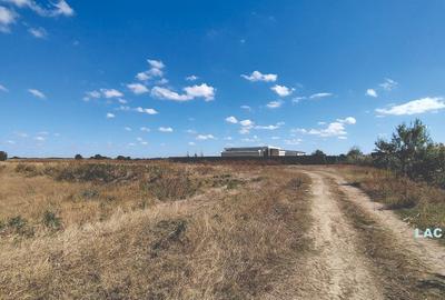 Vanzare teren 4400 mp Snagov - Gruiu, cu deschidere la lacul Snagov - 4