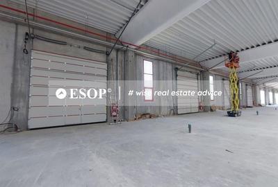 Hale industriale, parc modern, Rudeni, Chitila, Ilfov- ID 15462 Hale industriale, parc modern, Rudeni, Chitila, Ilfov- ID 15462 - 4