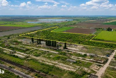 Teren de 85000 mp, în Chiscani - 2
