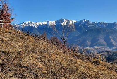 Teren de vânzare în sat Măgura/ Brasov– loc pentru familie, liniște și suflet - 10
