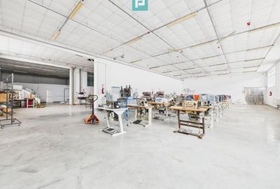 Teren 9.419 mp + hale 7.000 mp – Huși, Vaslui - 9