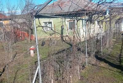 Casă cu 4 camere în Exterior Vest