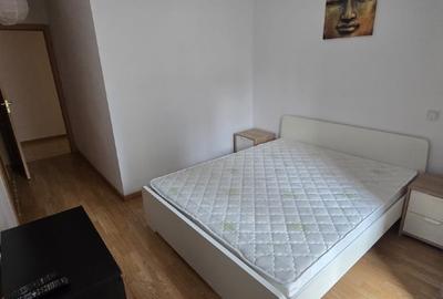 Apartament 2 camere parter cu terasa Hercesa - 12