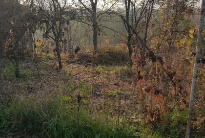 Casă în Șișterea - 1