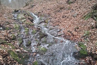 Spațiu comercial, în Poiana Mărului - 7