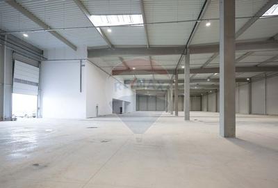 Hala de vanzare, Sc 7014mp, Zona Biharia - 6