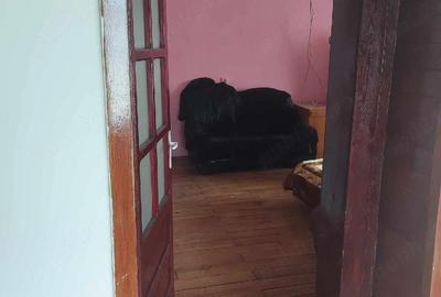 Casă cu Teren 350 Mp în Andrei Șaguna - 5