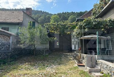 Casa spatioasa de vanzare in Rasinari, Sibiu - 4 camere, pivnita, demisol, curte - 16