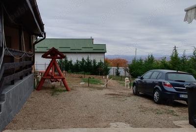 Casă în Boldești - 6