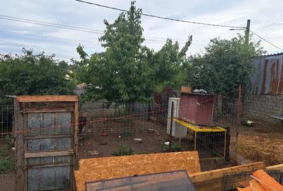 Casa de vinzare in Caracal strada Coopera?ie - 8