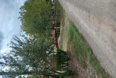 Vand casa sat Ivanda comuna Giulvaz Proprietar - 9