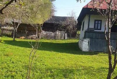 2 camere, 4000 mp,langa lacul Vidraru - 1