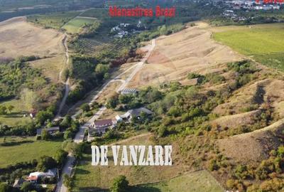 Teren de 4267 mp, în Satu Nou (Panciu) - 7