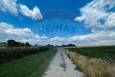 Teren investitie 4.350 mp | Balta Pasarea, langa Bucure?ti Teren investitie 4.350 mp | Balta Pasarea, langa Bucure?ti - 3