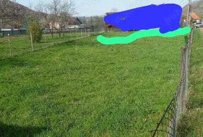 Vand casa in Valea Draganului! - 2