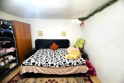 Casa in Slatina Str. Tudor Vladimirescu cu 303 mp teren - 4