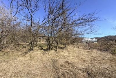 Casă individuală cu 5 camere cu Garaj în Livadea - 42