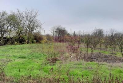 BARCANESTI - casa +curte+teren 16k mp - 11