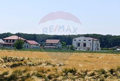 Teren 2,000mp Snagov / Strada Milcov - 15