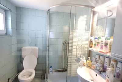 Casa renovabila, 2 camere, zona Cetate - 8