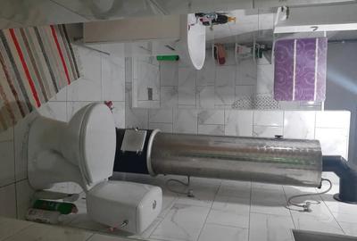 Casă cu 3 camere cu Teren 1930 Mp în Tulgheș - 4
