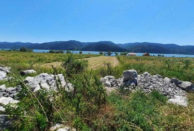 OCAZIE!!! Teren 2500mp, Berzasca-Liubcova, FS20m fata-spate - 16