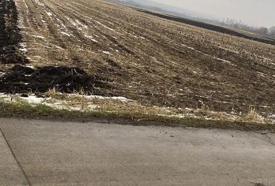 Spațiu comercial, în Satu Mare - 6