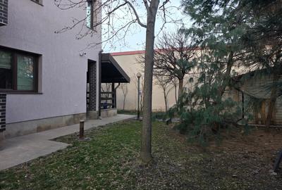 Casă cu 8 camere cu Teren 764 Mp în Timpuri Noi - 6