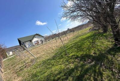 Teren de 1100 mp, în Bârnova - 6