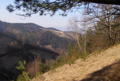 Teren agricol intravilan de 20370 mp, în Schei - 2
